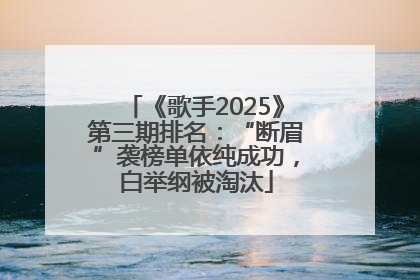 《歌手2025》第三期排名：“断眉”袭榜单依纯成功，白举纲被淘汰