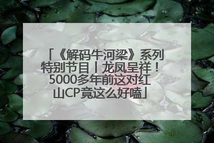 《解码牛河梁》系列特别节目丨龙凤呈祥！5000多年前这对红山CP竟这么好嗑