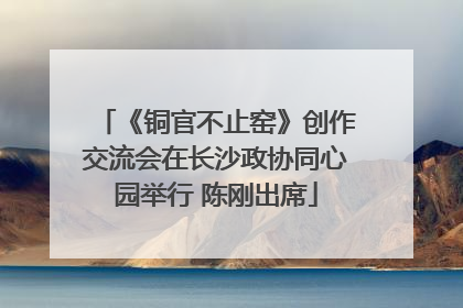 《铜官不止窑》创作交流会在长沙政协同心园举行 陈刚出席