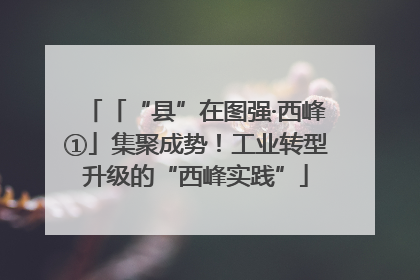 「“县”在图强·西峰①」集聚成势！工业转型升级的“西峰实践”