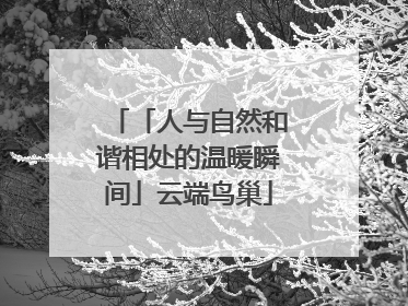「人与自然和谐相处的温暖瞬间」云端鸟巢