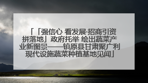 「强信心 看发展·招商引资拼落地」政府托举 绘出蔬菜产业新图景——镇原县甘肃聚广利现代设施蔬菜种植基地见闻