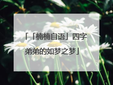 「楠楠自语」四字弟弟的如梦之梦