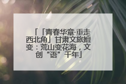 「青春华章·重走西北角」甘肃文旅嬗变：荒山变花海，文创“语”千年