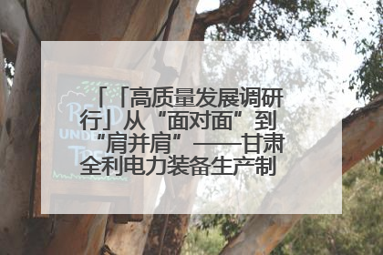 「高质量发展调研行」从“面对面”到“肩并肩”——甘肃全利电力装备生产制造项目一线见闻
