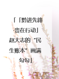 「黔进先锋·贵在行动」赵大志的“民生账本”画满勾勾