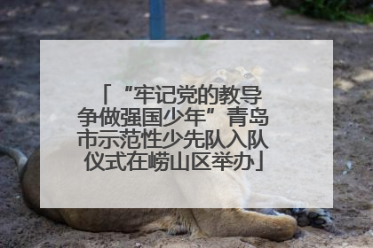 “牢记党的教导 争做强国少年”青岛市示范性少先队入队仪式在崂山区举办