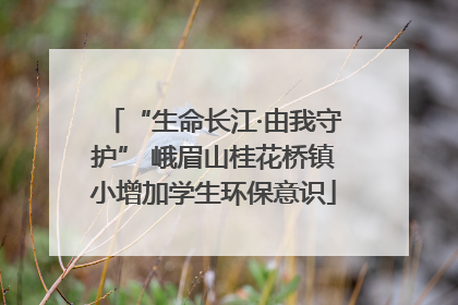 “生命长江·由我守护” 峨眉山桂花桥镇小增加学生环保意识
