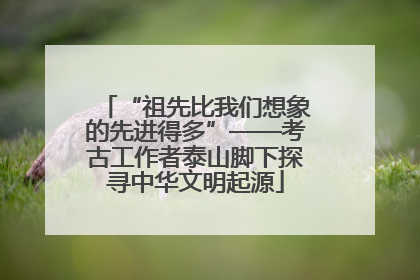 “祖先比我们想象的先进得多”——考古工作者泰山脚下探寻中华文明起源