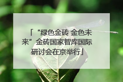 “绿色金砖 金色未来”金砖国家智库国际研讨会在京举行