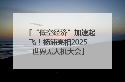 “低空经济”加速起飞！杨浦亮相2025世界无人机大会