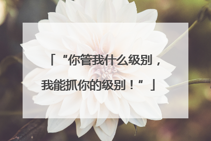 “你管我什么级别，我能抓你的级别！”