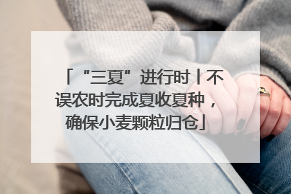 “三夏”进行时丨不误农时完成夏收夏种，确保小麦颗粒归仓
