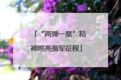 “两弹一星”精神照亮强军征程