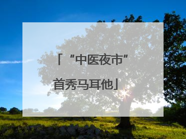 “中医夜市”首秀马耳他