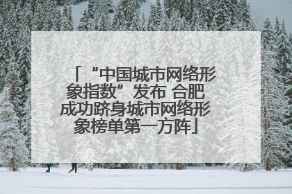 “中国城市网络形象指数”发布 合肥成功跻身城市网络形象榜单第一方阵