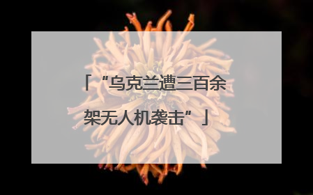 “乌克兰遭三百余架无人机袭击”