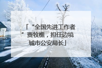 “全国先进工作者”贾牧樵，担任边境城市公安局长