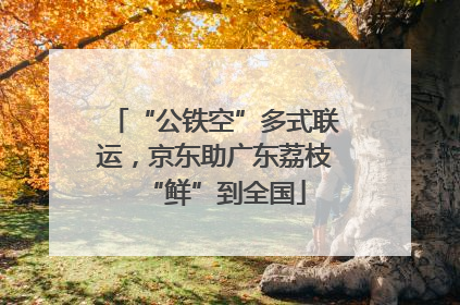 “公铁空”多式联运，京东助广东荔枝“鲜”到全国