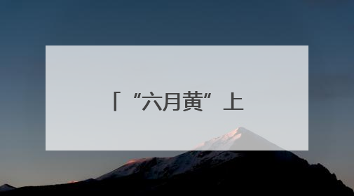 “六月黄”上市了！超小只的可按斤买