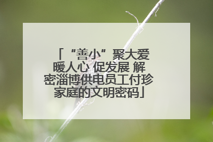 “善小”聚大爱 暖人心 促发展 解密淄博供电员工付珍家庭的文明密码