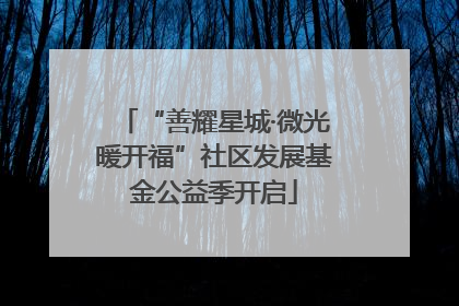 “善耀星城·微光暖开福”社区发展基金公益季开启