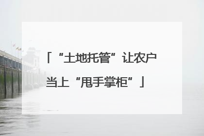 “土地托管”让农户当上“甩手掌柜”