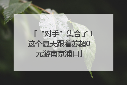 “对手”集合了！这个夏天跟着苏超0元游南京浦口