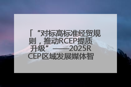 “对标高标准经贸规则，推动RCEP提质升级”——2025RCEP区域发展媒体智库论坛举行专题对话