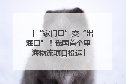 “家门口”变“出海口”！我国首个里海物流项目投运