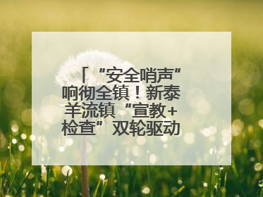 “安全哨声”响彻全镇！新泰羊流镇“宣教+检查”双轮驱动筑牢安全防线