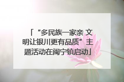 “多民族一家亲 文明让银川更有品质”主题活动在闽宁镇启动