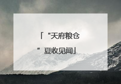 “天府粮仓”夏收见闻