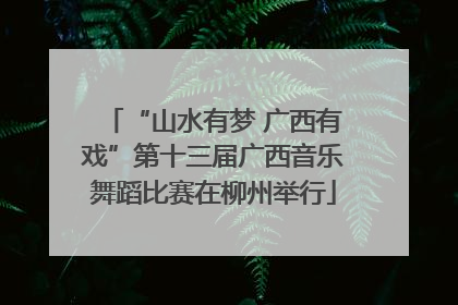“山水有梦 广西有戏”第十三届广西音乐舞蹈比赛在柳州举行