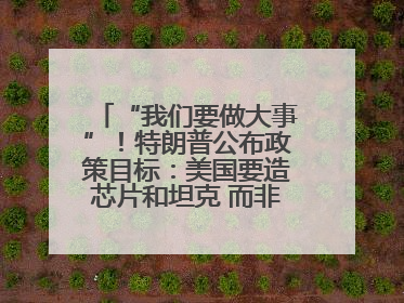 “我们要做大事”！特朗普公布政策目标：美国要造芯片和坦克 而非T恤袜子