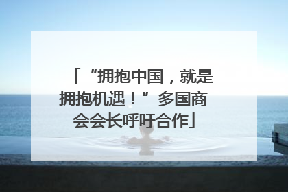 “拥抱中国，就是拥抱机遇！”多国商会会长呼吁合作