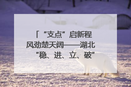 “支点”启新程 风劲楚天阔——湖北“稳、进、立、破”谱写“荆”彩篇章