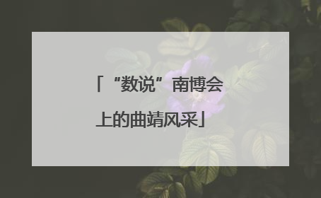 “数说”南博会上的曲靖风采