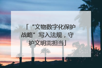 “文物数字化保护战略”写入法规，守护文明需担当
