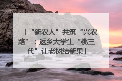 “新农人”共筑“兴农路”：返乡大学生“桃三代”让老树结新果
