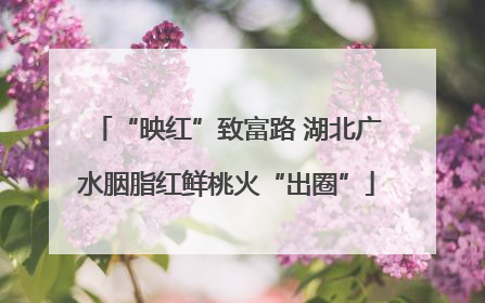 “映红”致富路 湖北广水胭脂红鲜桃火“出圈”