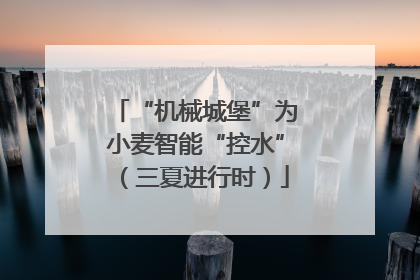 “机械城堡”为小麦智能“控水”（三夏进行时）