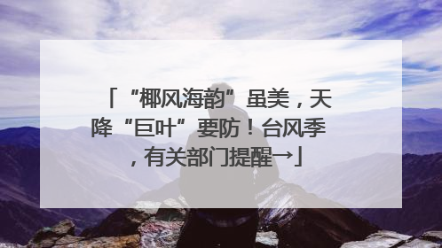 “椰风海韵”虽美，天降“巨叶”要防！台风季，有关部门提醒→