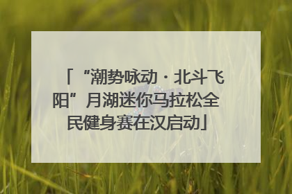 “潮势咏动・北斗飞阳”月湖迷你马拉松全民健身赛在汉启动