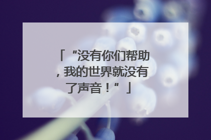 “没有你们帮助，我的世界就没有了声音！”