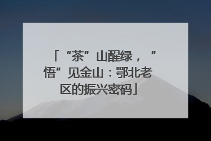“茶”山醒绿，“悟”见金山：鄂北老区的振兴密码