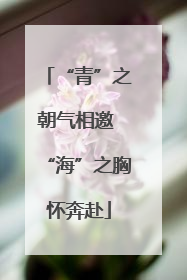 “青”之朝气相邀 “海”之胸怀奔赴