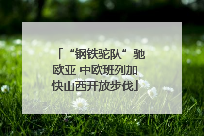 “钢铁驼队”驰欧亚 中欧班列加快山西开放步伐
