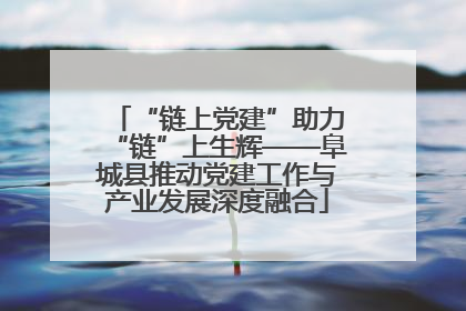 “链上党建”助力“链”上生辉——阜城县推动党建工作与产业发展深度融合