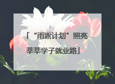 “雨露计划”照亮莘莘学子就业路